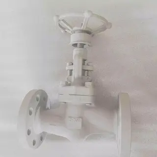 Rising Stem Globe Valve, ASTM A105, 2 Inch, Class 300 LB, RF