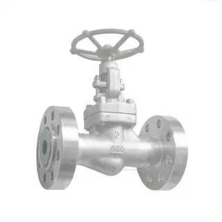 API 602 Globe Valve, ASTM A182 F51, 2 Inch, Class 1500 LB