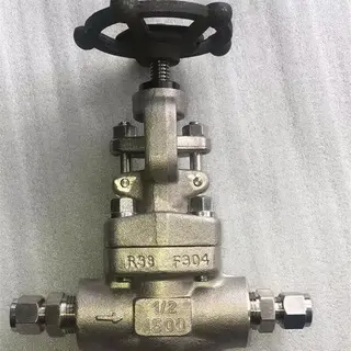 ASTM A182 F304 Globe Valve, Bolted Bonnet, 1/2 Inch, 1500 LB