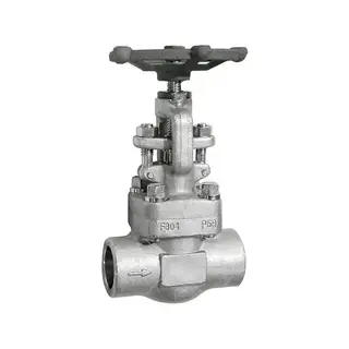 Bolted Bonnet Globe Valve, ASTM A182 F304, 1 Inch, CL 800 LB