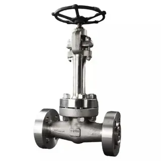 Cryogenic Globe Valve, ASTM A182 F304, 1 Inch, Class 2500 LB