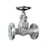 BS 5352 Globe Valve, ASTM A182 F304H, 1 Inch, 300 LB, Flanged