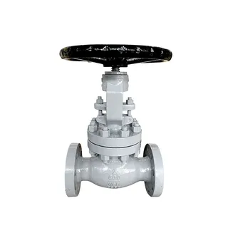 Hand Wheel Operated Globe Valve, ASTM A216 WCB, 2 IN, 600 LB