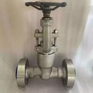 ASTM A182 F316 Globe Valve, Welded Bonnet, 3/4 Inch, 2500 LB