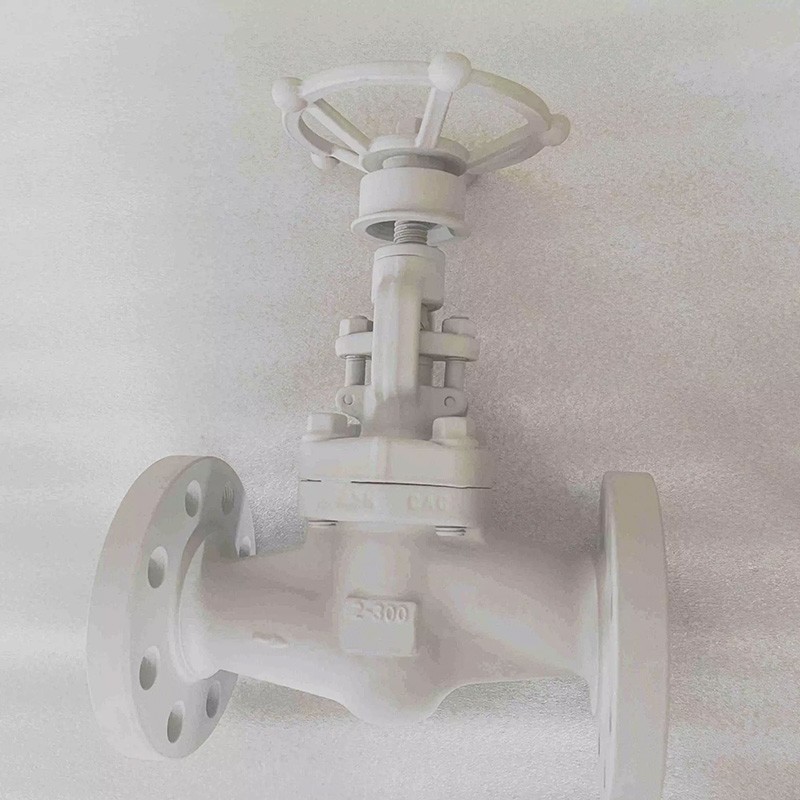 Rising Stem Globe Valve, ASTM A105, 2 Inch, Class 300 LB, RF