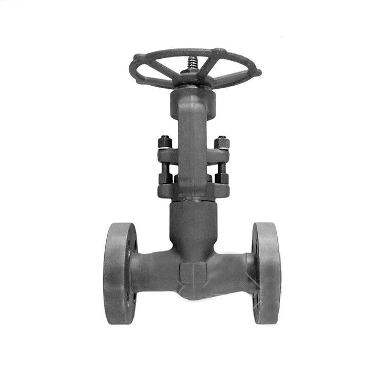 API 602 PSB Globe Valve, ASTM A105N, 1 Inch, 1500 LB, RTJ End