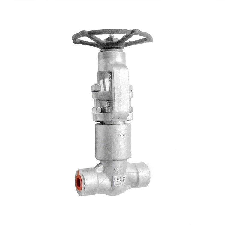 PSB Globe Valve, ASTM A182 F316H, 3/4 Inch, 2500 LB, SW End