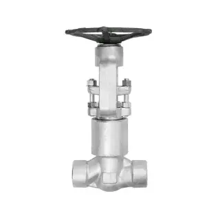 Stainless Steel Globe Valve, BS 5352, PSB, 3/4 Inch, 2500 LB