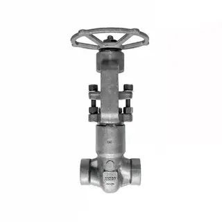Pressure Seal Bonnet Globe Valve, ASTM A105N, 3/4 IN, CL1500
