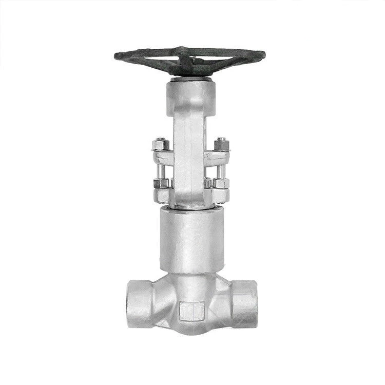 Stainless Steel Globe Valve, BS 5352, PSB, 3/4 Inch, 2500 LB