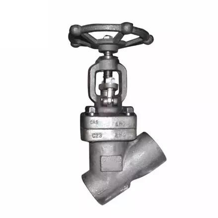 API 602 Globe Valve, Y Type, ASTM A182 F304, 2 Inch, 600 LB