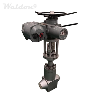 Free Forging Power Plant Gate Valve, A182 F321, 4 Inch, CL2500, BW