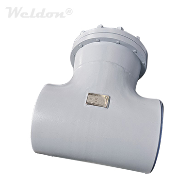 DIN 3356 T Pattern Strainer, WPB, 8 Inch, Class 150 LB, RF