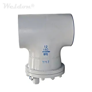 ASTM A234 WPB T Strainer, BB Design, DIN 3356, 12 Inch, 150 LB, RF