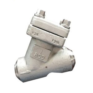 API 594 Y Strainer, ASTM A182 F316, 1 Inch, CL 800 LB, NPT