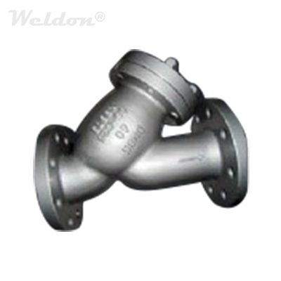 GS–C25 Y Strainer, DN65, PN40, ASME B16.34, RF, SS 304 Screen