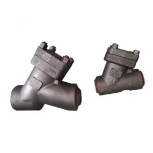 API 602 Y Strainer, ASTM A105N, 2-1/2 Inch, Class 800 LB, BW