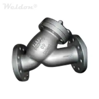 GS–C25 Y Strainer, DN65, PN40, ASME B16.34, RF, SS 304 Screen