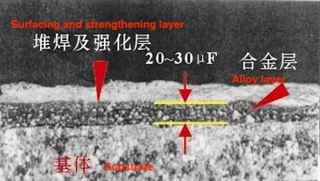 Metallographic microstructure of the coating layer