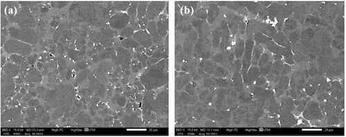 SEM structure of AlSi7CuMnMg alloy