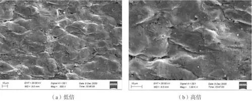 The surface morphology of cracked surfaces of sample No. 2