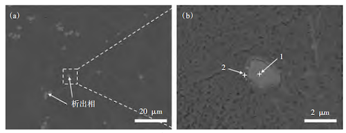 SEM Image of Precipitation Phase in C611 Alloy