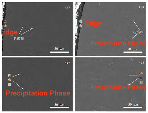 SEM Images of Alloys