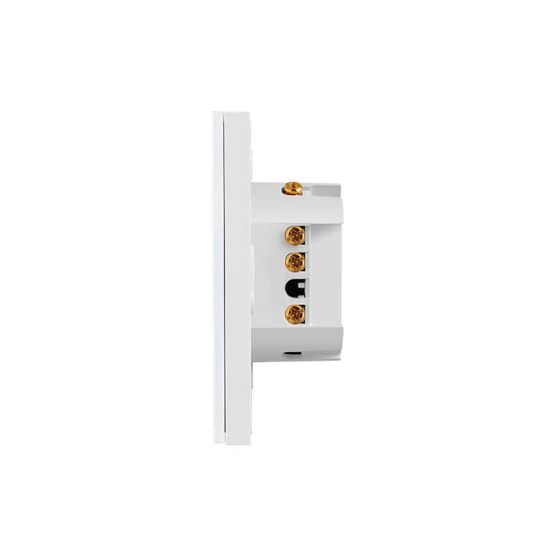 smart switch 2 gang