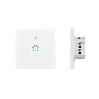 smart switch 1 gang