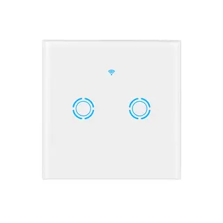 Remote Control Wall Switch Smart Switch 2 Gang