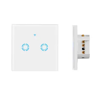 smart switch 2 gang