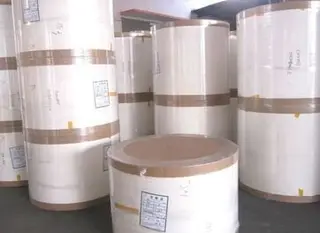 Considerations for Raw Material Procurement in Sanitary Napkin Production