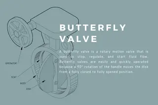 Butterfly Valves