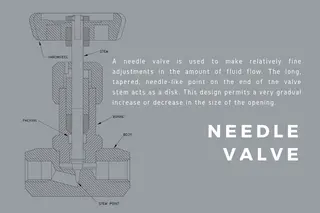 A Needle Valve
