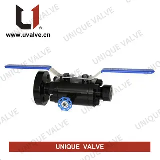 Double Block & Bleed Ball Valve