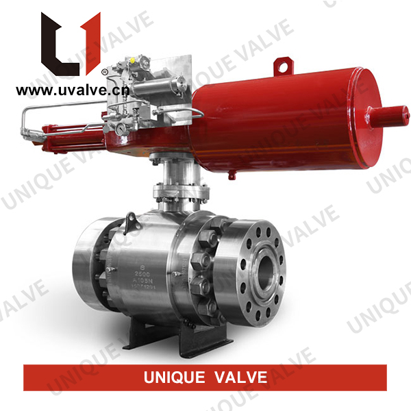 ASTM A105 Trunnion Ball Valve, 8 Inch, 2500 LB, API 6D, RTJ