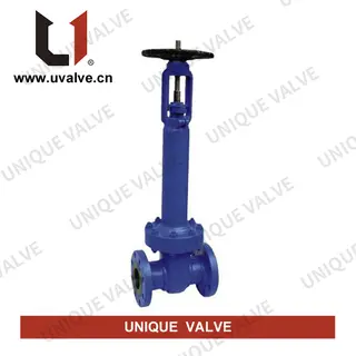 DIN Bellows Seal Gate Valve