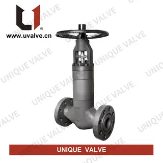 Pressure Seal Bonnet Bellows Globe Valve