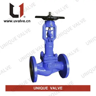 Extended Bellows Seal Globe Valve