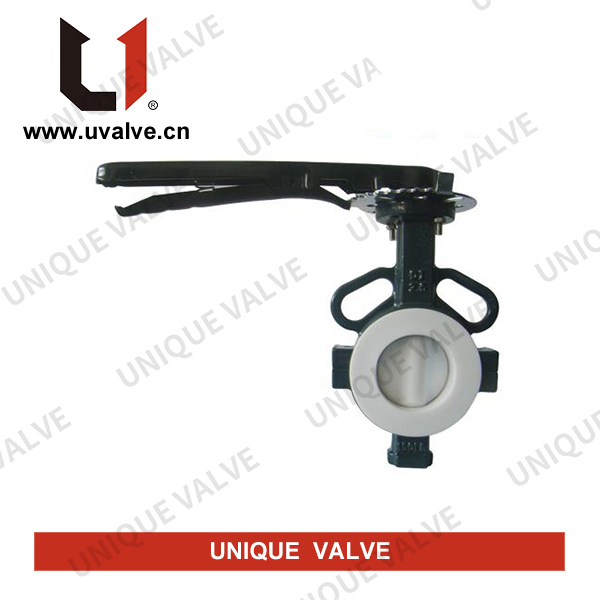 Fully PTFE Butterfly Valve