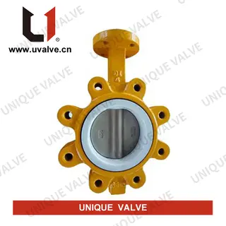 Top Flanged Lug Butterfly Valve