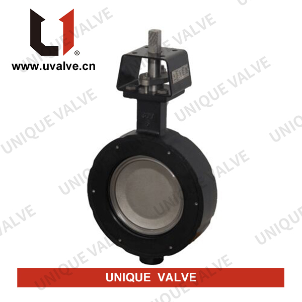 Lugged High Performance Butterfly Valve
