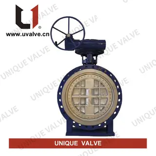 Replaceable Seat Butterfly Valve