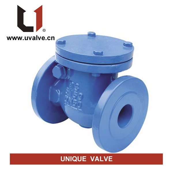 150 PSI Ductile Iron Check Valve