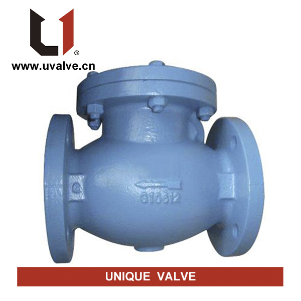 Ductile Iron Check Valve