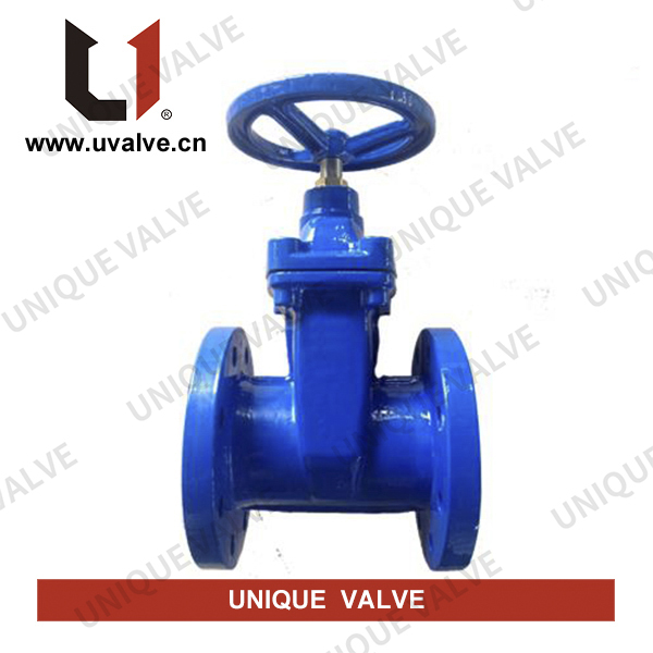 Resilient Gate Valve, Brass Nut Type