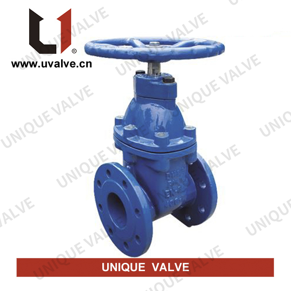 Resilient Gate Valve
