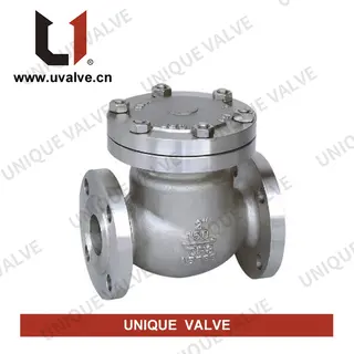 Stainless Steel Check Valve