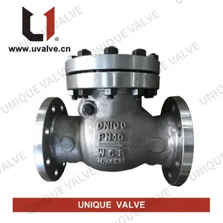 Carbon Steel Check Valve