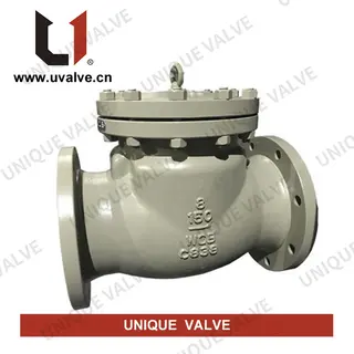 API 6D Check Valve